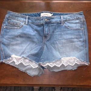 Torrid shorts